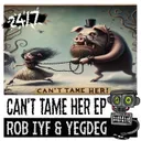Meet Again - Extended Mix by Rob IYF, 247 Hardcore, YEGDEG - Happy Hardcore cover art