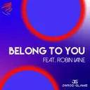 Belong To You by Robin Vane, Jarod Glawe - Hardstyle cover art