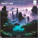 What I Am by Robin Vane, MasterBangg, Somero - Hardstyle cover art