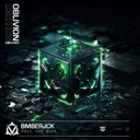 Cover of Roll The Dice - Radio Mix
