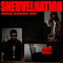 Sneuvelnation VIP by Ronnie Flex, Vieze Asbak, Mr. Polska - Hard Techno cover art