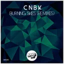 Burning Skies - Roone Remix by Roone, CNBK - Hardstyle cover art