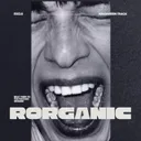BEAT THEM TO THE FUCKING GROUND by Rorganic - Hard Techno cover art