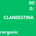 CLANDESTINA by Rorganic - Hard Techno cover art