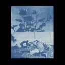 EVERY DAY I PRAY THAT TOMORROW I WILL DIE by Rorganic - Hard Techno cover art