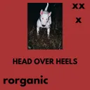HEAD OVER HEELS by Rorganic - Hard Techno cover art