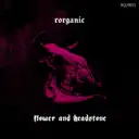 Undead Pigeon (Original mix) by Rorganic - Hard Techno cover art