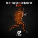 Cover of Run (Extended Mix)