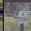 Cover of Run Up