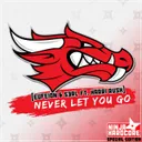 Never Let You Go - Radio Edit by S3RL, Eufeion, Harri Rush - Hardstyle cover art