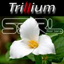 Trillium (feat. Sara) - Lofi by S3RL, Sara - Happy Hardcore cover art