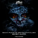 Ecstacid by Sam Punk, Pete Untitled - Hardstyle cover art