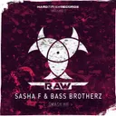 Smash Hit - Radio Edit by Sasha F, Bass Brotherz - Hardstyle cover art