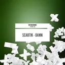Damn by Scabtik - Rawstyle cover art