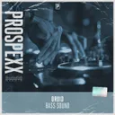 Bass Sound by Scantraxx, Druid - Hardstyle cover art