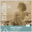 Secret Of Life by Scantraxx, Araysen, Chavetas - Hardstyle cover art