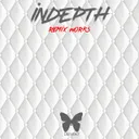Cover of Scarab - Indepth Remix