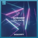You Know - Extended Mix by Schrandy - Hardstyle cover art