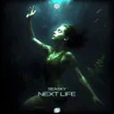 Next Life - Extended Mix by Seasky - Hardstyle cover art