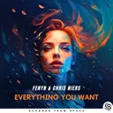 Everything You Want - Extended Mix by Seconds From Space, Chris Niers, Fenyn - Hardstyle cover art