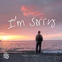 I'm Sorry by Seconds From Space, ION, Tabris - Hardstyle cover art