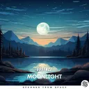 Moonlight - Extended by Seconds From Space, Essence - Hardstyle cover art