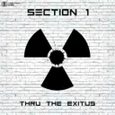 Peace Of Mind by Section 1 - Hardstyle cover art