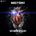 Rhythm Of My Heart - Radio Edit by Section 1 - Hardstyle cover art