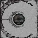 Cover of Senseless Society