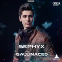 Gallinaceo - Radio Edit by Sephyx - Hardstyle cover art