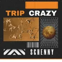 Trip Crazy by Sghenny - Frenchcore cover art