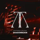 Cover of Shadowboxin