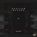 Cover of Shallow Waters - Radio Version