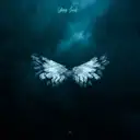 Angels in Heaven by Shiraz Javed - Hardstyle cover art