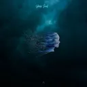 human consciousness by Shiraz Javed - Hardstyle cover art