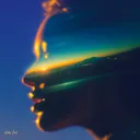 In The Light by Shiraz Javed, Nieve Pulse - Hardstyle cover art