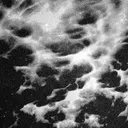 The Harvest by Shlømo - Hard Techno cover art