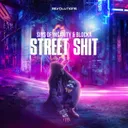 Street Shit by Sins Of Insanity, Blocka - Rawstyle cover art
