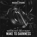 Wake to Darkness by Sins Of Insanity, Hardfunction - Rawstyle cover art