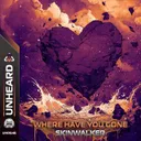 Where Have You Gone by Skinwalker - Hardstyle cover art