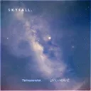 Cover of Skyfall