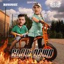 Cover of SLOW DOWN