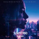 Cover of Slow My Mind