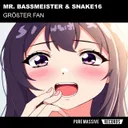 Größter Fan by Snake16, Mr. Bassmeister - Hard Techno cover art