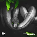 Cover of Snakebite