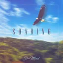 Cover of Soaring