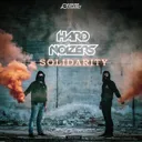Cover of Solidarity
