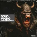 Earth Melodies by Solo Viking - Hard Techno cover art
