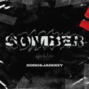 Cover of Somber