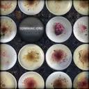 Forsaken by Somniac One - Hard Techno cover art